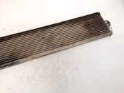 Kraftstoffkühler Kraftstoff Kühler Chrysler Sebring, III 2007.05 - 2010.12 Gebraucht,