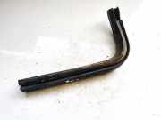 Türdichtung - Vorne Linke Renault Zoe I 2012 - 2020.06 m807g,