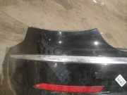 Zier-Schutzleiste Sto?f?nger - Hinten Linke Volkswagen Passat, CC I 2008.01 - 2011.06 Gebraucht, BZB