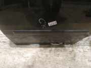 Zierleiste Tür Zier-Schutzleiste - Hinten Linke Seat Ibiza, III 2002.02 - 2009.11 Gebraucht,