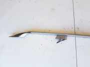 Dachreling Rechts Renault Laguna, II 2001.03 - 2006.05 8200002215,A38