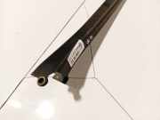 Schutzleiste Tür - Hinten Rechts Renault Scenic, II 2003.06 - 2006.06 8200167199,