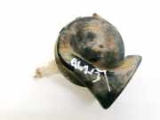 Hupe Renault Espace, III 1996.11 - 2002.10 E20091001,