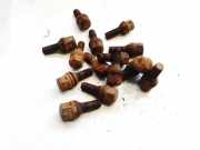 Radbolzen- Radmutter Renault Scenic, I 1999.09 - 2003.06 facelift Gebraucht,