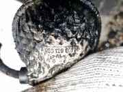 Druckspeicher Volkswagen Passat, B5+ 2000.11 - 2005.05 038129007, BGW