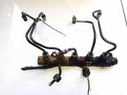Kraftstoffverteiler Toyota RAV-4, II 2000.09 - 2005.11 Gebraucht,