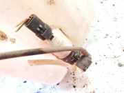 Waschwasserpumpe Scheibenreinigung Renault Scenic, II 2006.06 - 2009.02 facelift 8200067015, 8200295885