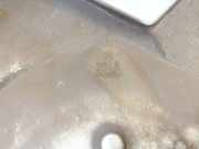 Radkappe Radzierblenden - R17 Toyota Corolla Verso, II 2001.09 - 2004.05 2518,