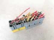 Sicherungskasten Renault Scenic, II 2003.06 - 2006.06 13251ghw,