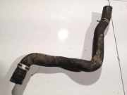 Kühlerschlauch Peugeot 406, 1995.11 - 1999.03 Gebraucht,