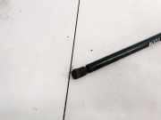 Gasfeder für Motorhaube Audi A4, B5 1994.11 - 1999.09 Gebraucht,