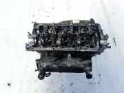 Zylinderkopf Volkswagen Passat, B5+ 2000.11 - 2005.05 0591033730, Akn