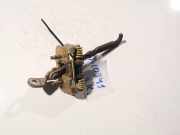 Türfangband Türbremse Türstopper - Hinten Linke Renault Scenic, I 1999.09 - 2003.06 facelift Gebraucht,