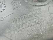 T?rinnengriff - Vorne Rechts Renault Scenic, II 2003.06 - 2006.06 5005500006,5005500006 8200628486