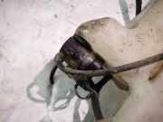 Waschwasserpumpe Scheibenreinigung Honda HR-V, I 1999.01 - 2006.12 Gebraucht,