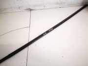 Zierleiste Leiste - Vorne Rechts Mazda 2, DE 2007.10 - 2014.06 Gebraucht,