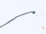 Stütze Motorhaube Mazda Premacy, 1999.01 - 2005.03 Gebraucht,