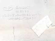 Zierleiste Tür Zier-Schutzleiste - Hinten Rechts Opel Antara, 2006.01 - 2010.08 96660218,