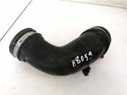 Schlauch für Luftversorgung Renault Megane, II 2002.11 - 2006.06 8200201614,