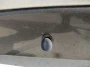 Waschwasserd?se Scheibenreinigung Citroen C5, I 2001.03 - 2008.02 Gebraucht,