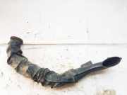 Schlauch für Luftversorgung Lancia Phedra 2002 - 2006 1484919080,