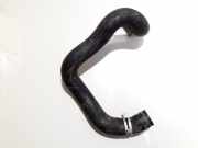 Kühlerschlauch Citroen Xsara Picasso, I 1999.12 - 2004.05 Gebraucht,