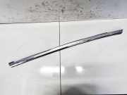 Zierleiste Leiste - Hinten Rechts Tesla Model S, I 2012.01 - 2016.06 6009603,