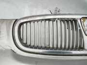 Kühlergrill Frontgrill Kühlergitter Rover 400, 1995.05 - 2000.03 Gebraucht,