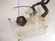 Ausgleichsbehälter Renault Megane, III 2008.11 - 2012.06 Gebraucht,