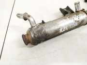 Abgaskühler AGR-Kühler Opel Astra, H 2004.03 - 2009.12 55202430,