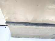 Zierleiste Tür Zier-Schutzleiste - Vorne Rechts Peugeot 407, 2004.05 - 2010.12 Gebraucht,