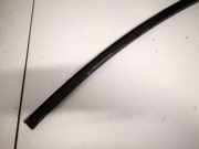 Zierleiste Leiste - Hinten Linke Lexus IS, II 2005.10 - 2013.03 Gebraucht,