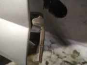 Türscharnier Vorne Ford Transit, III 2006.04 - 2012.12 facelift Gebraucht,