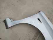 Kotflügel - Vorne Rechts Renault Espace, IV 2002.11 - 2014.12 sidabrinis,