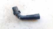 Entlüftungsschlauch Kraftstoffbehälter Volkswagen Golf Plus, 2005.01 - 2008.05 446070602, BKD