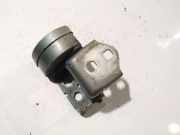 Türscharnier Vorne Renault Megane, II 2002.11 - 2006.06 Gebraucht,