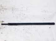 Zierleiste Leiste - Hinten Linke Lexus IS, II 2005.10 - 2013.03 Gebraucht,