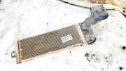Kraftstoffkühler Kraftstoff Kühler Volkswagen Bora, 1998.01 - 2005.12 1J0201894A, ATD