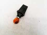 Glühbirnenfassung Blinker Renault Scenic, II 2003.06 - 2006.06 Gebraucht,
