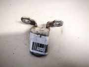 Türscharnier Vorne Renault Laguna, II 2001.03 - 2006.05 Gebraucht,