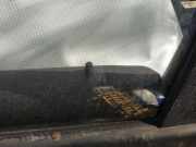 Seitenscheibe - Vorne Linke Mercedes-Benz A-CLASS, W168, 2001.06 - 2004.09 facelift Gebraucht,