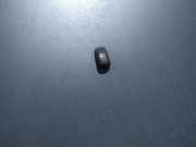 Waschwasserd?se Scheibenreinigung Daihatsu Materia 2008 - 2011 Gebraucht,