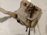 Scheibenwaschbehälter Vorne Wischwasserbehälter Mercedes-Benz W203, 2000.05 - 2004.02 Gebraucht ,