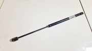 Gasdruckfeder Kofferraum Volkswagen Golf Plus, 2005.01 - 2008.05 113531,329a35 BXE