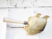 Scheibenwaschbehälter Vorne Wischwasserbehälter Nissan Almera Tino 2000.08 - 2003.09 Gebraucht,