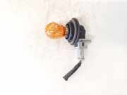 Glühbirnenfassung Blinker Peugeot 206, 1998.08 - 2002.07 60953750,