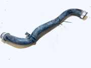 K?hlerschlauch Mercedes-Benz W211, 2002.03 - 2006.04 a2115015382,yap260504 625412