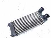 Ladeluftkühler Peugeot 3008, I 2008.01 - 2016.06 Gebraucht,