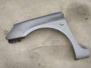 Kotflügel - Vorne Linke Peugeot 307, 2000.08 - 2005.06 pilkas,