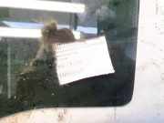 Seitenscheibe - Hinten Linke Mercedes-Benz ML, W163 1998.02 - 2005.06 Gebraucht ,